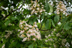 Bienvenue dans notre havre de paix au cœur de la magnifique région du bas St-Laurent !